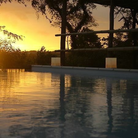 Raices Amambai Lodges Puerto Iguazú Eksteriør bilde